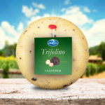 trifolino pozadi